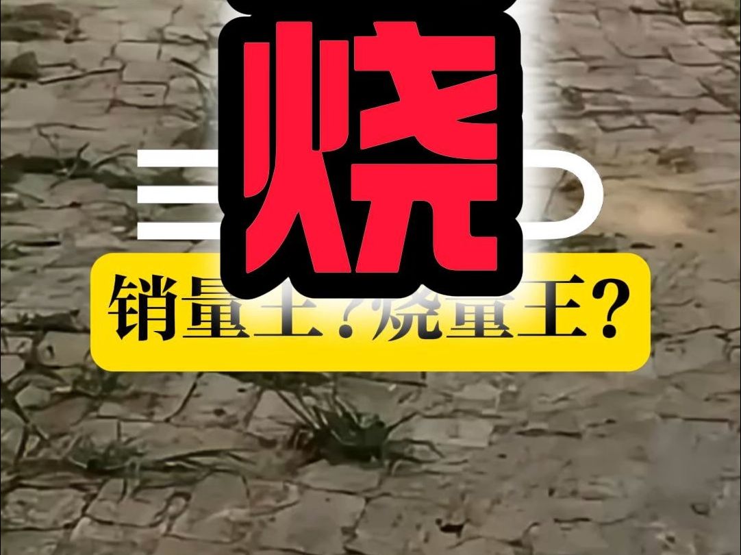 销量王?烧量王?建议把公司名称改为特能烧新能源有限公司!哔哩哔哩bilibili