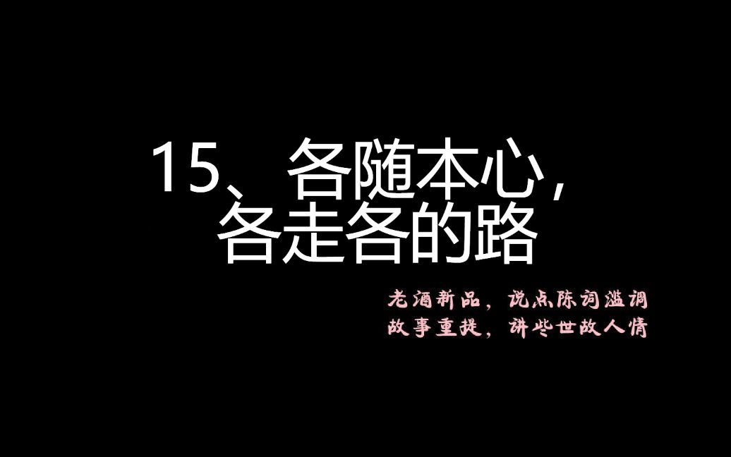 【15,各随本心,各走各的路】妄言止于智者?_哔哩哔哩_bilibili