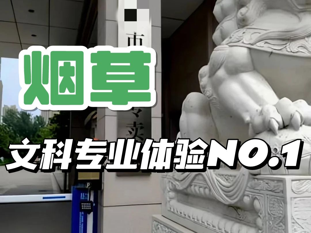 23岁进了地方市烟草局,真是个养老的好地方,当然也不是好考的......哔哩哔哩bilibili