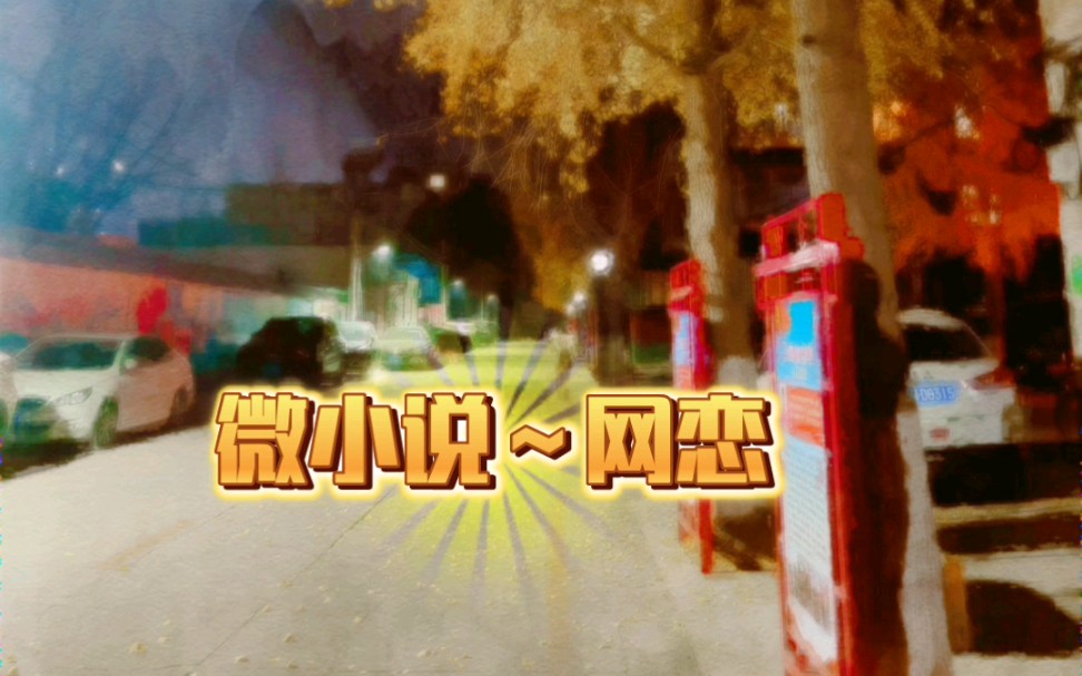 微小说~网恋哔哩哔哩bilibili