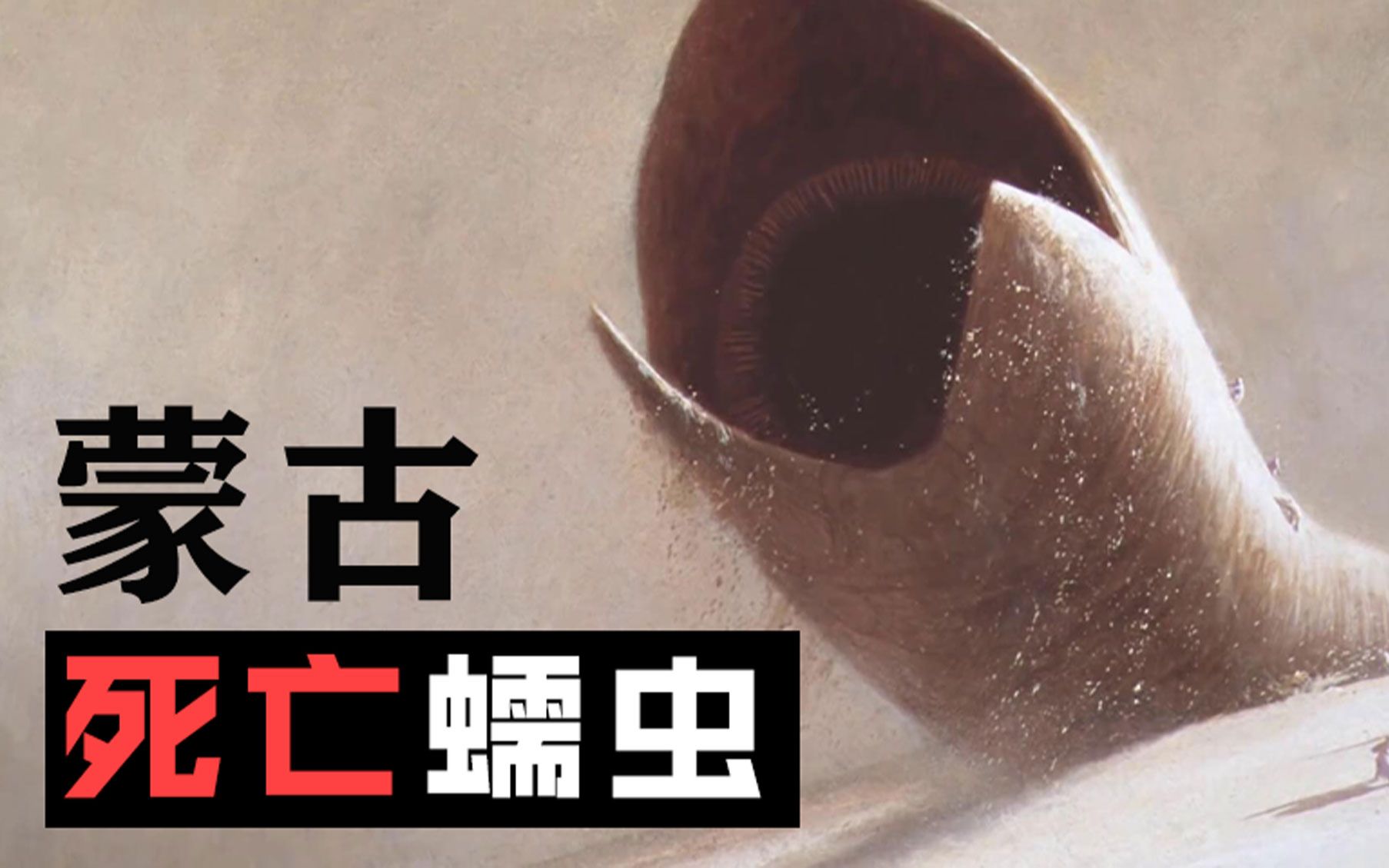 提前卧槽警告