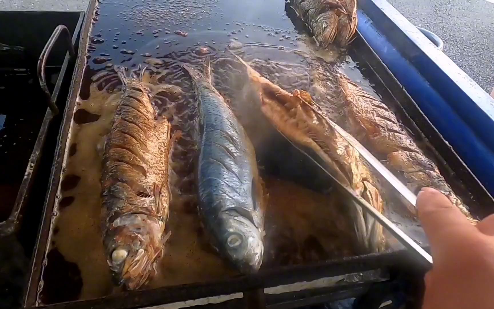 小伙摆地摊创业铁板煎鱼炸鸡架生意一天比一天好了