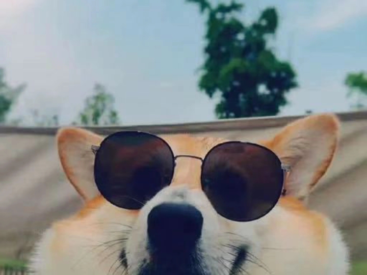 【带了双墨镜的狗头】第一支视频求三连!