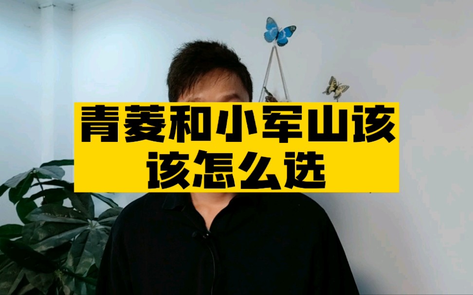 小军山和青菱该怎么选!哔哩哔哩bilibili