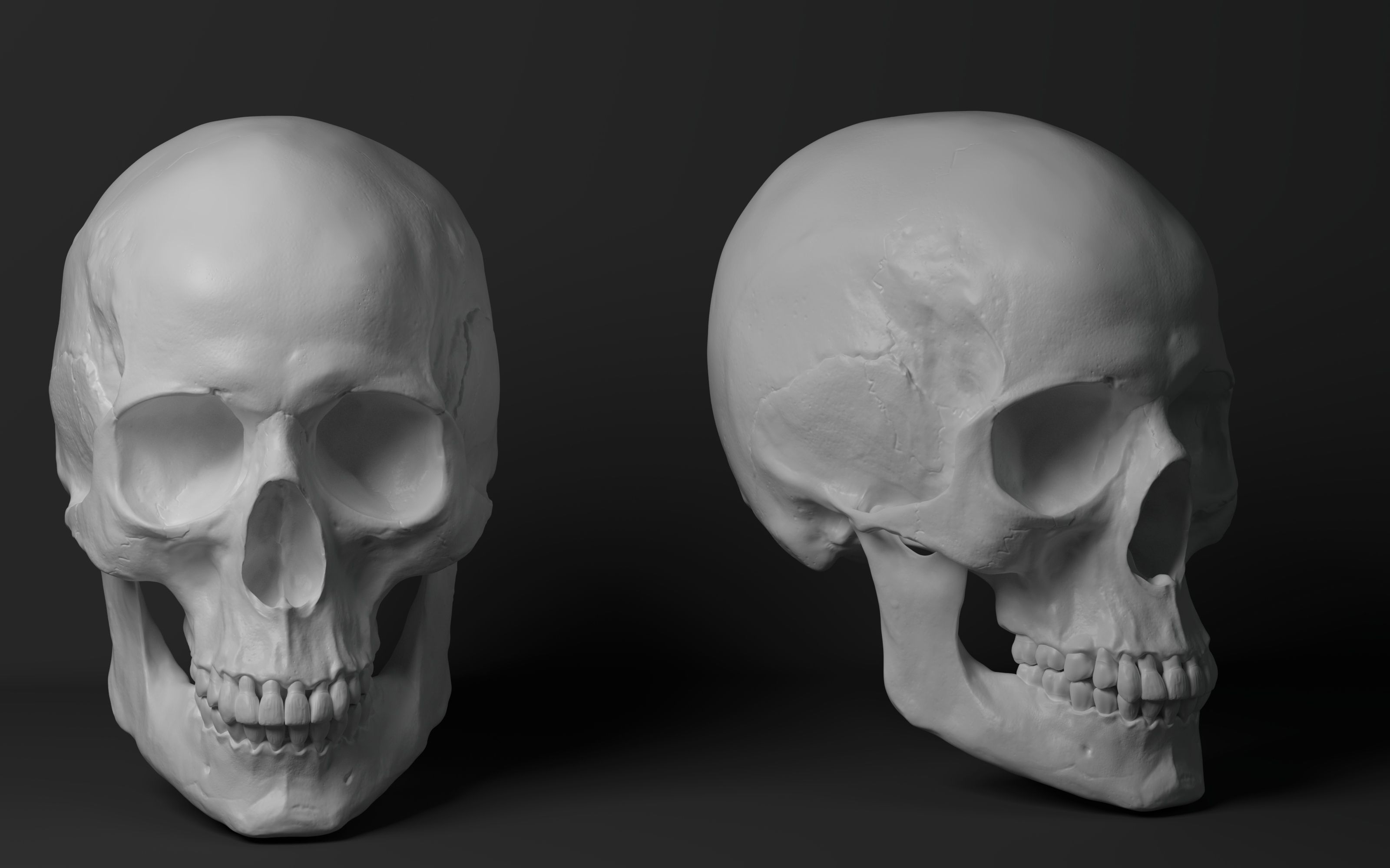 教你做好肖像之头骨合集头骨细节3