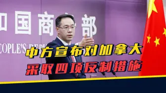 Descargar video: 又一场贸易战开打，24小时内中国扔出4炸，跟加拿大新旧账一块算