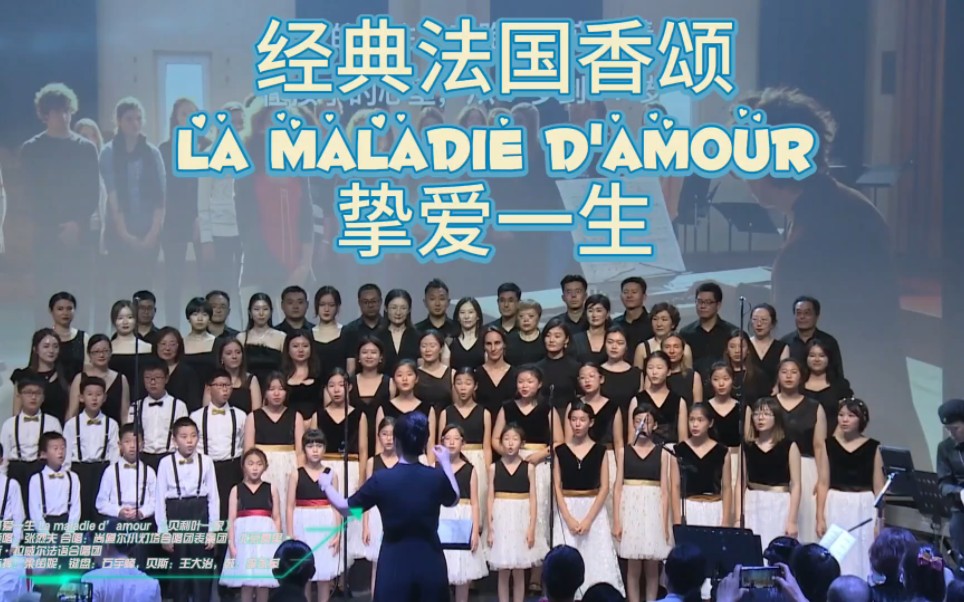 经典法国香颂《la maladie d'amour》挚爱一生 演唱:张烈夫 北京法语合唱团 尚道尔小灯塔合唱团 指挥:梁闰妮哔哩哔哩bilibili