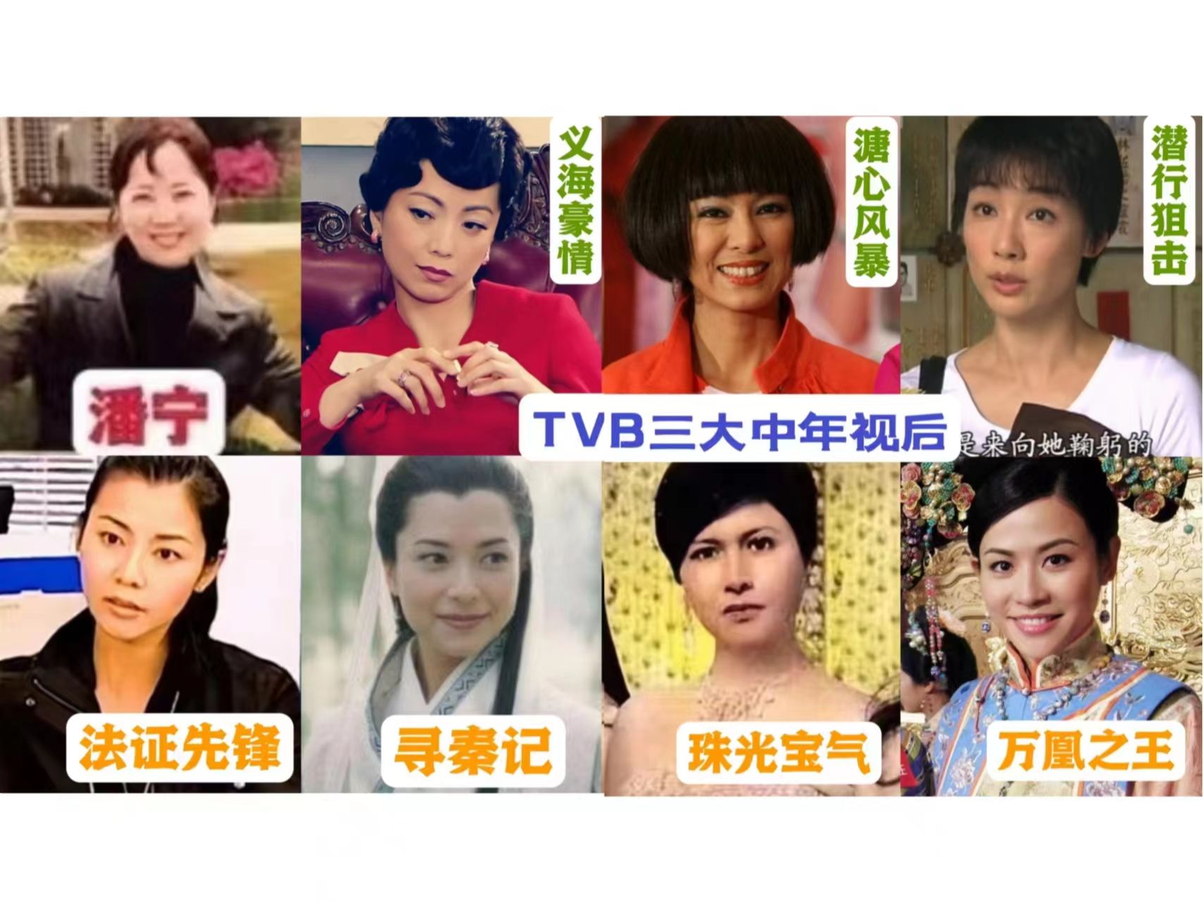 中年转型后专配tvb视后,港剧国语配音系列(60)潘宁(下)