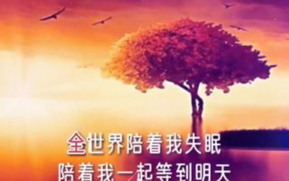 [图]我不敢闭上双眼，因为你会出现在我脑海里。