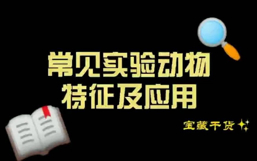 【实验参考】实验参考常见实验动物的特征及用途哔哩哔哩bilibili