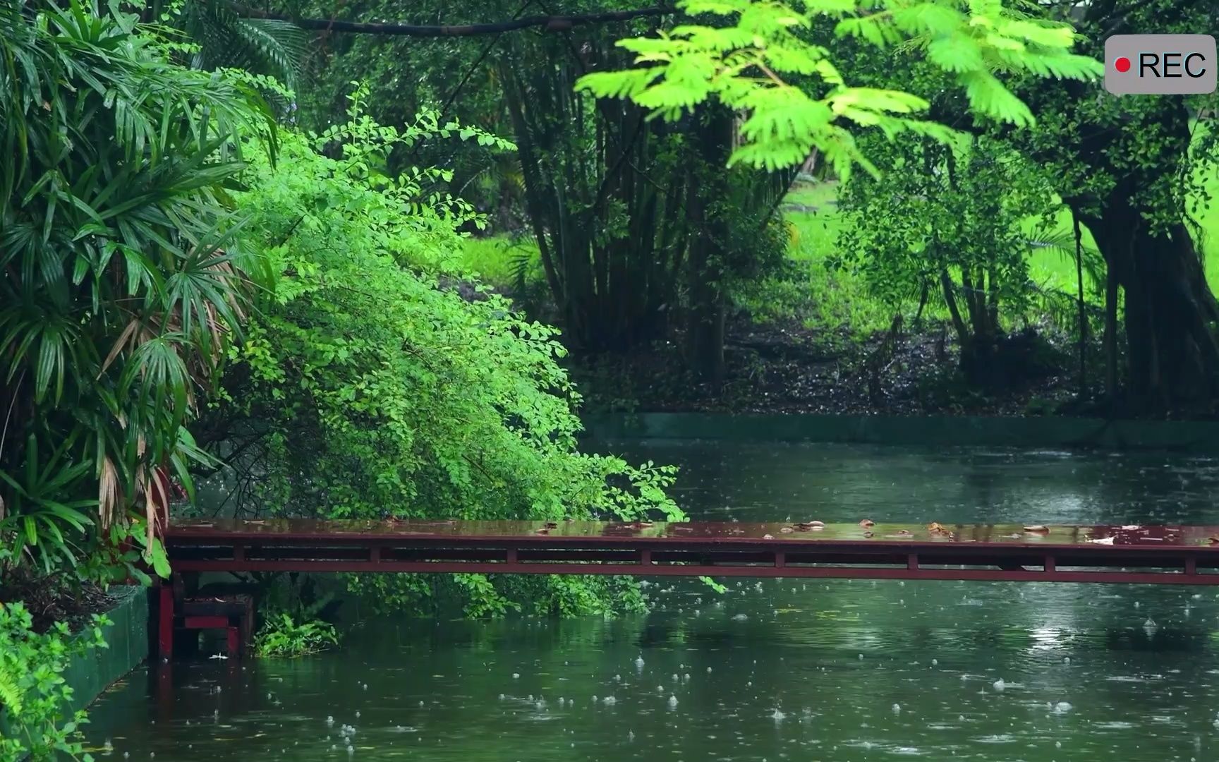 [图]人间忽晚，山河已秋。凭栏听雨，有点想你