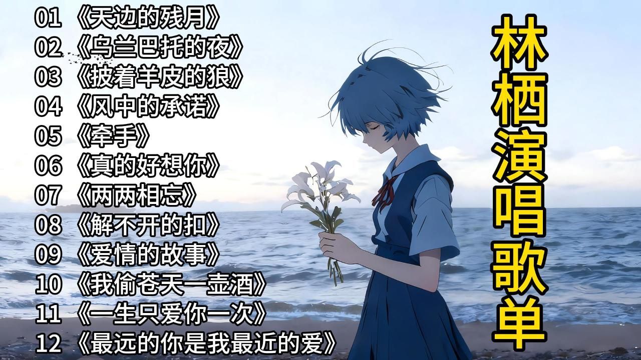 林栖演唱最好听的13首深情版经典歌曲，百听不厌