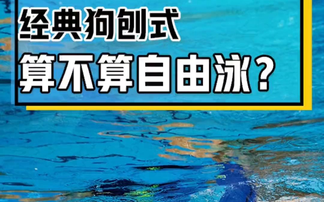 游泳冷知识:狗刨式到底算不算自由泳?哔哩哔哩bilibili