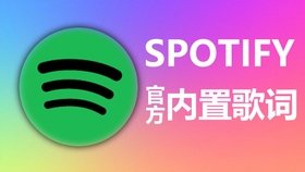 最全Spotify入坑指南! 解决注册问题! 附离线安装包_哔哩哔哩(゜-゜)つ
