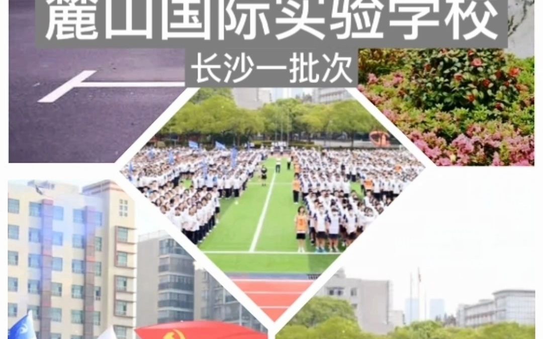 麓山国际实验学校高中图片