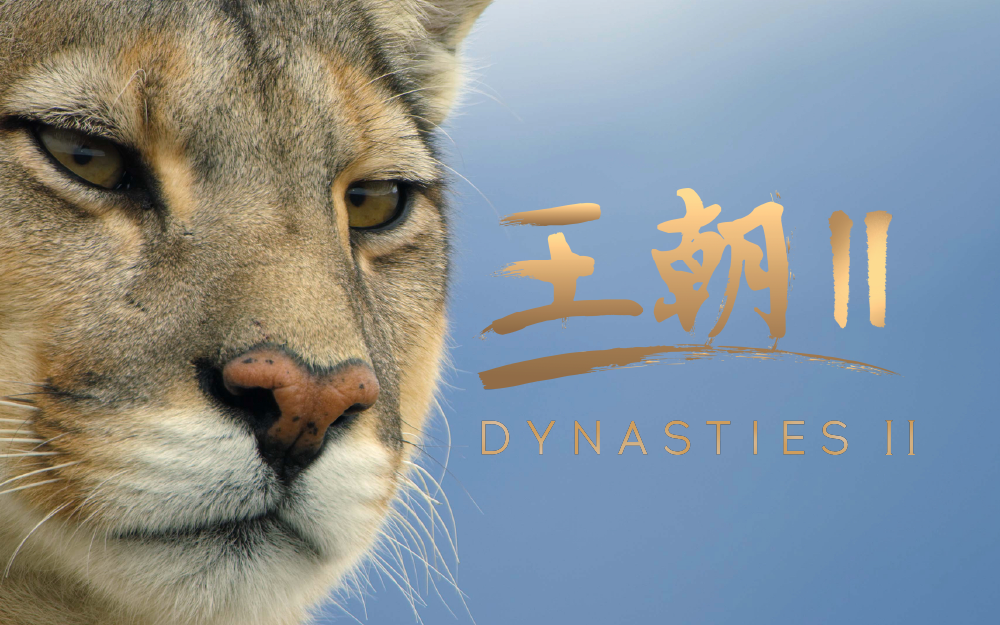 王朝2第1集-纪录片-全集-高清独家在线观看-bilibili-哔哩哔哩