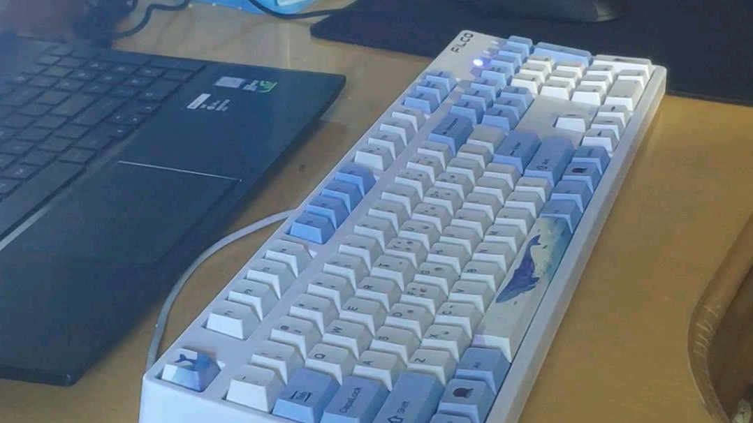 全润滑高特紫轴试打,大键g黄,声音也还可以嘛