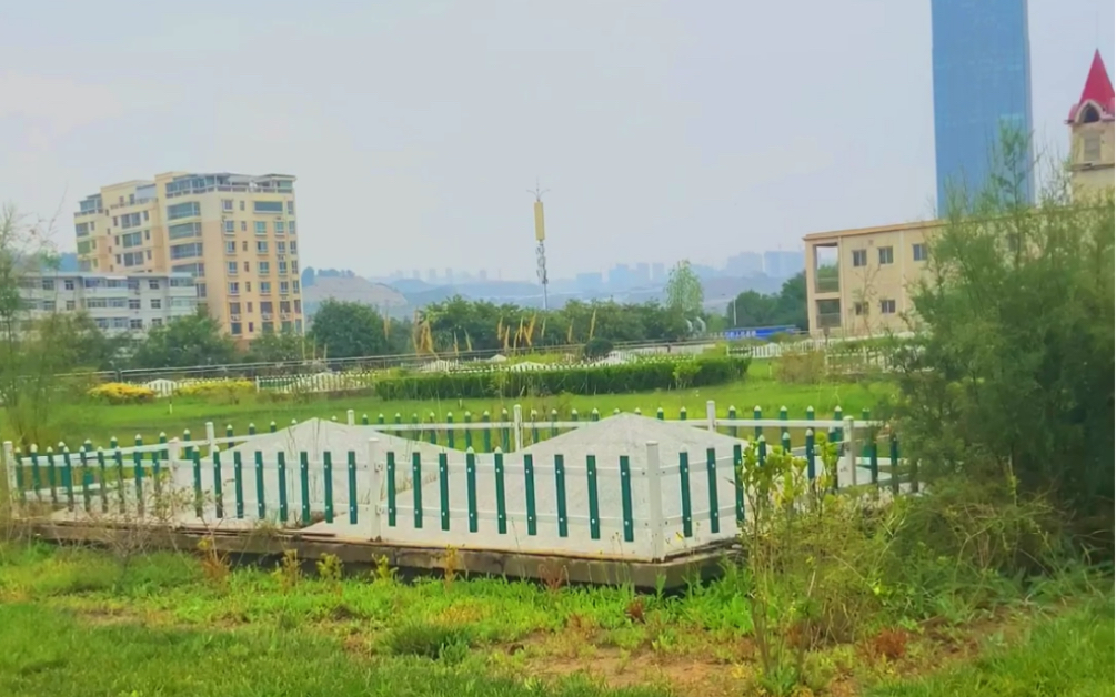 景观绿化后的兰州盐场污水处理厂,颜值"控不住"啦