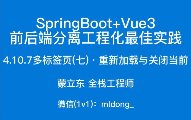 4.10.7SpringBoot+Vue3最佳实践前端篇多标签页(七)ⷮŠ重新加载与关闭当前哔哩哔哩bilibili