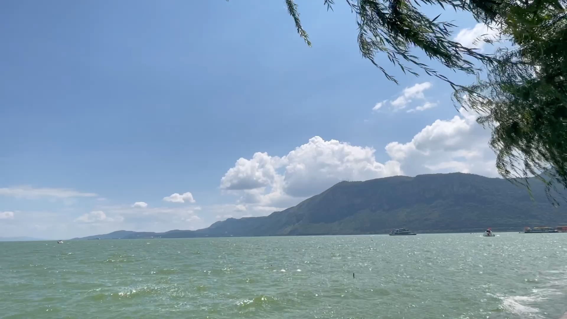 夏日的微风拂面