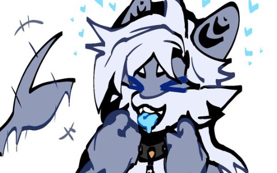 对猫鲨有一种莫名偏爱