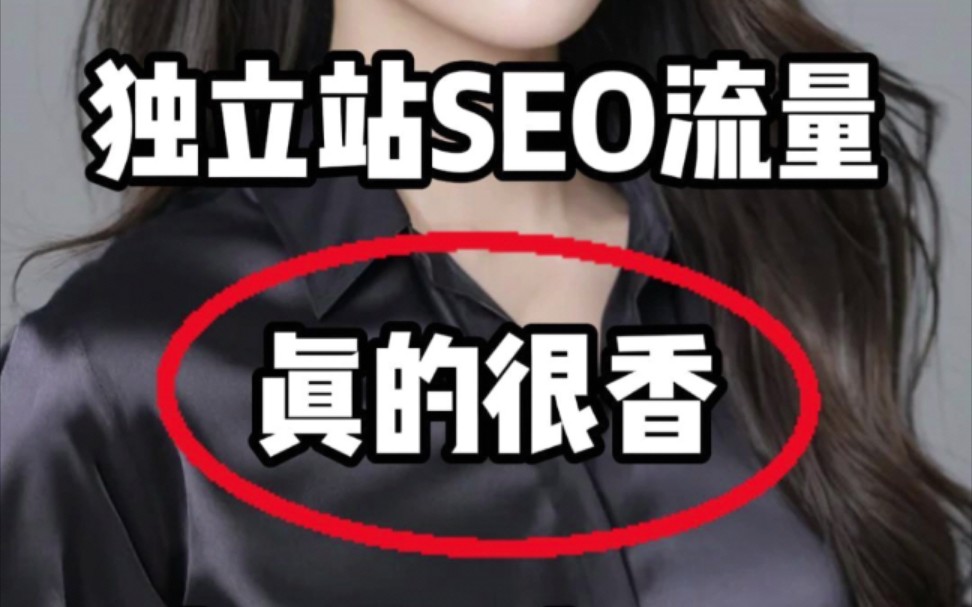 独立站三个月SEO流量3万+!我朋友做了什么哔哩哔哩bilibili