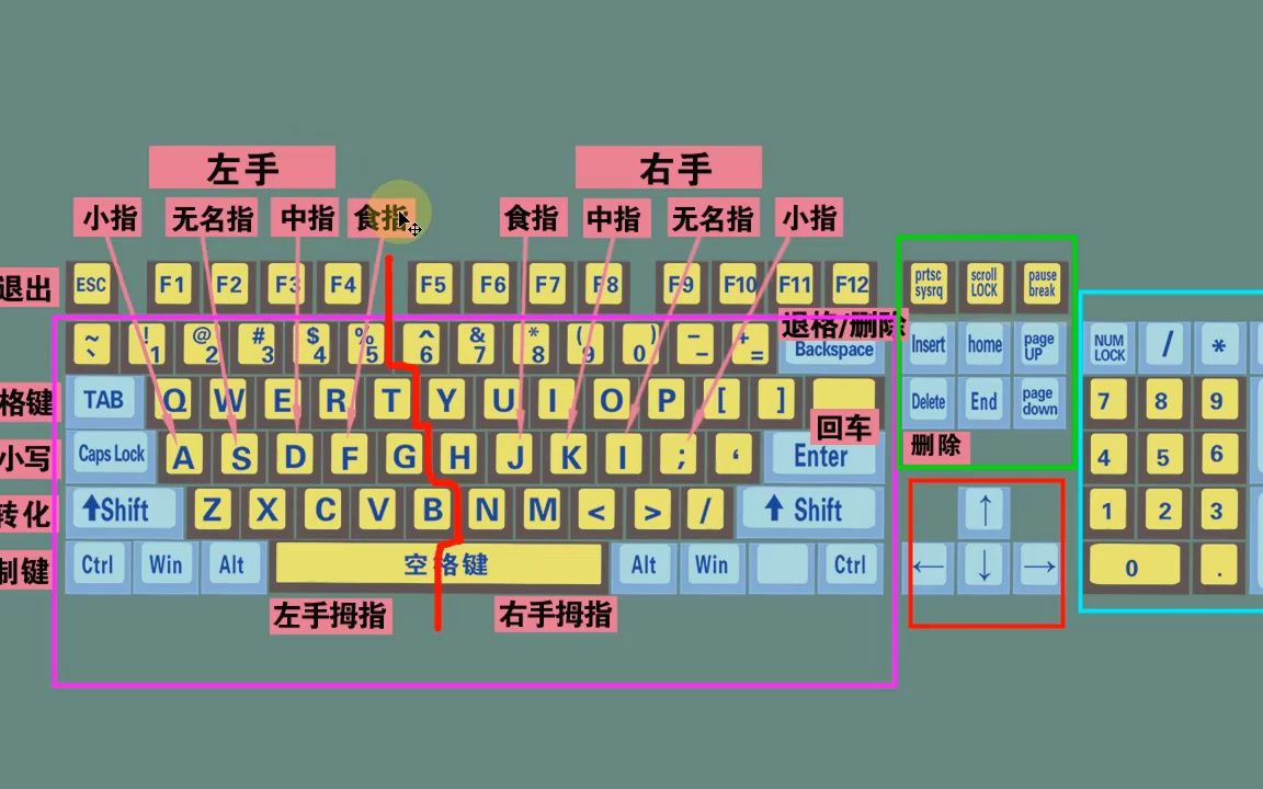 零基础电脑知识,掌握键盘标准指法,打字速度和准确率都可以提高