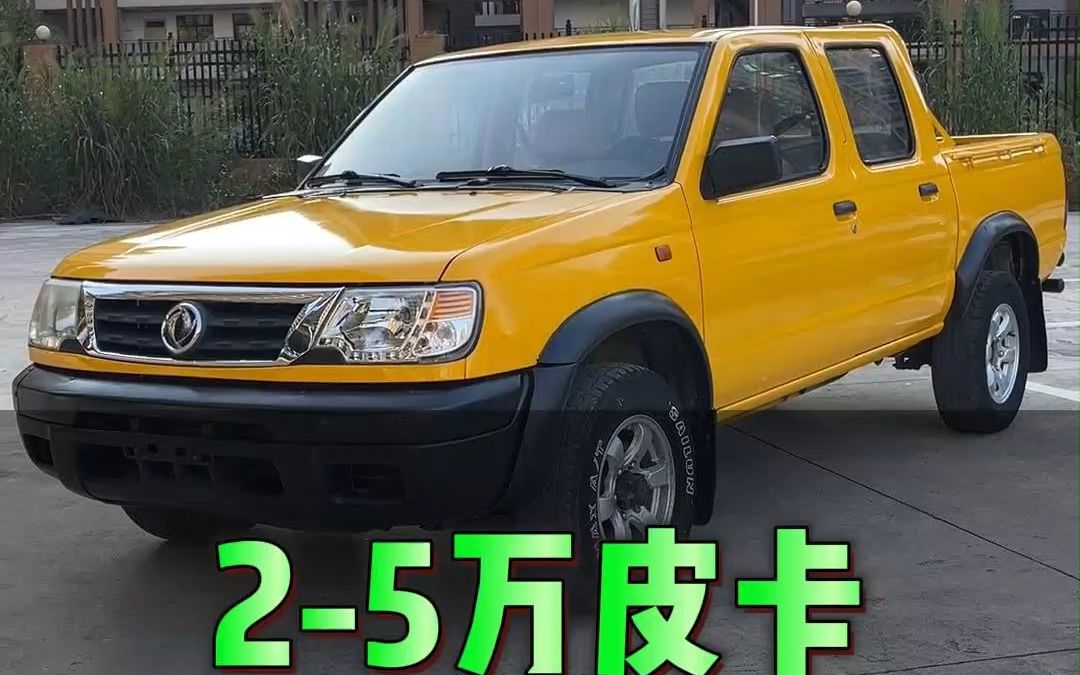 锐骐 #日产d22 #日产np300 2-5万的皮卡,全部都是单位一手车,尾箱板