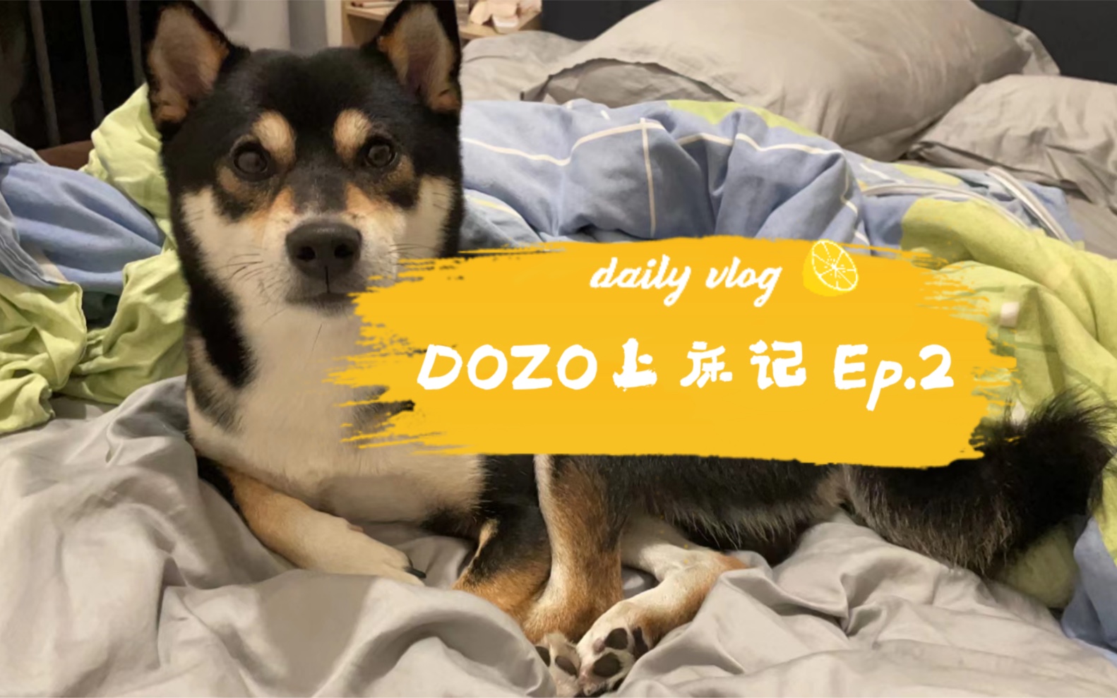 【DOZO上床记】Ep.2 Dozo又来床上无法无天啦哔哩哔哩bilibili