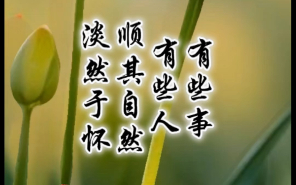 既然有些事,我们无法选择,就让它顺其自然.