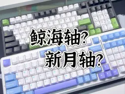 Download Video: 【打字音】狼蛛F99还不会选轴体？ 来听听！ |  新月轴 |  鲸海轴 |  打字音对比