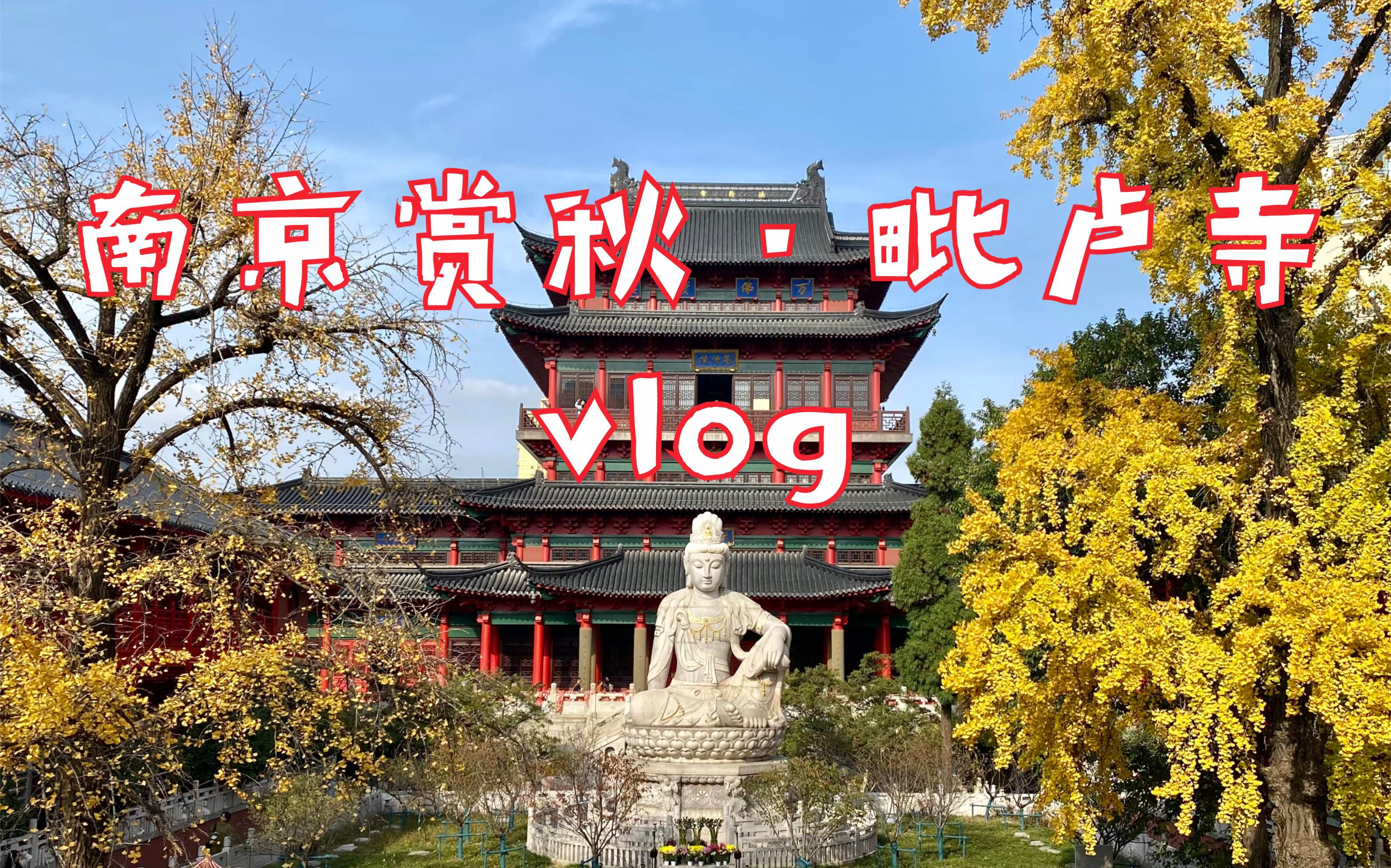 【南京闲游】毗卢寺赏秋景啦~黄了银杏,红了金陵~最新毗卢寺全景来袭哔哩哔哩bilibili