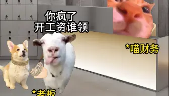 6万一个月的财务果然强的可怕