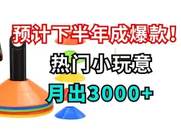 Tải video: 爆款预定！亚马逊小玩意月出3000+