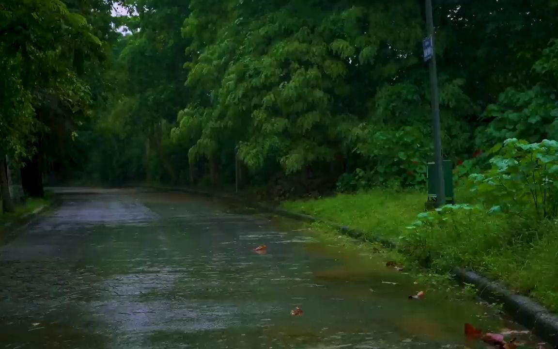 [图]【2小时】雨林大道的雨声，噼里啪啦的雨珠，伴您度过美好的夜晚