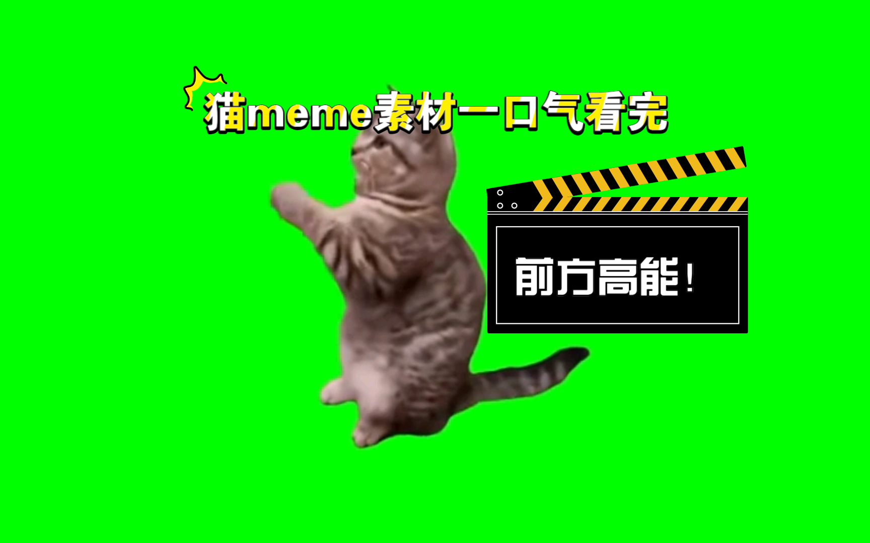 [图]一口气看完猫meme所有素材