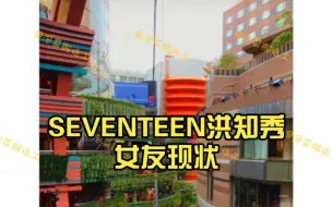 Download Video: 韩网热议 SEVENTEEN洪知秀女友现状