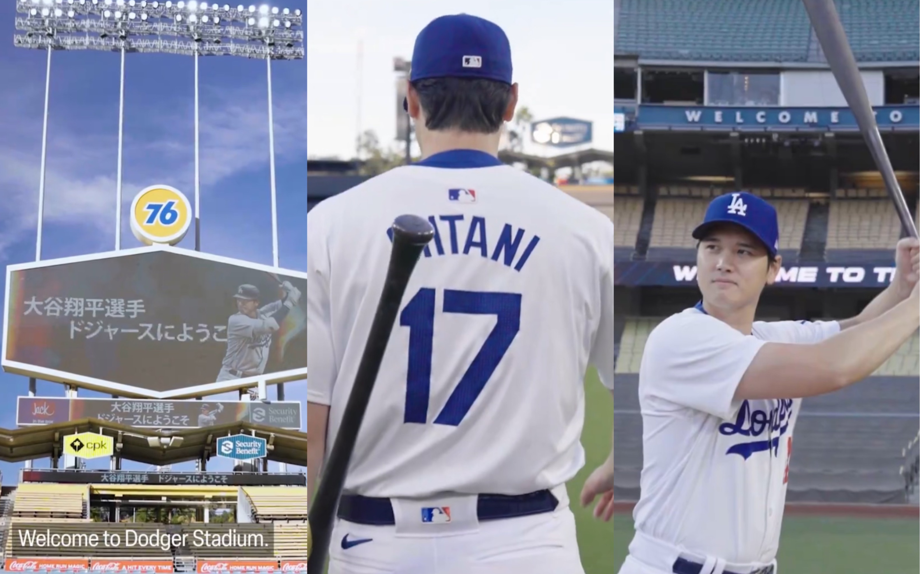 大谷翔平|破案了 狗狗名字叫dekopin