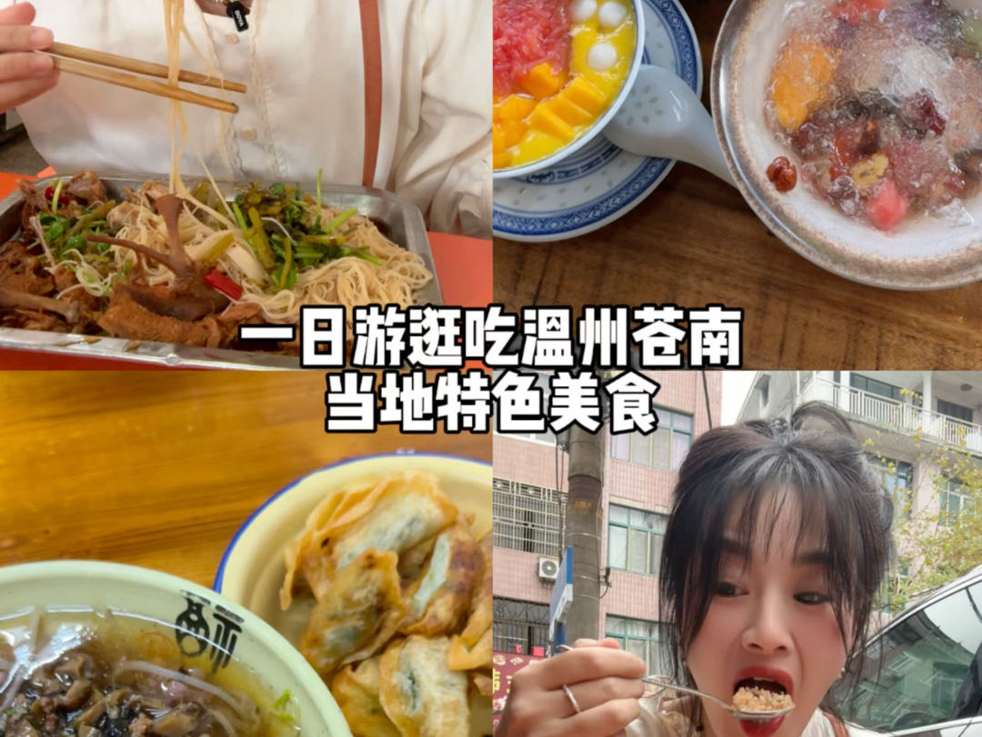 日常vlog丨温州苍南,地方不大美食却不少哔哩哔哩bilibili