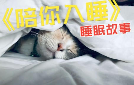 【睡眠故事】陪你入睡|放松身心|快速入睡哔哩哔哩bilibili