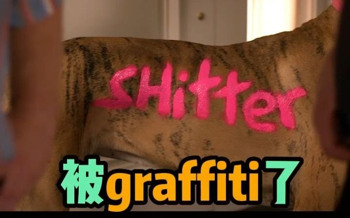 学个词让你终身难忘,猜下什么是“graffiti”哔哩哔哩bilibili