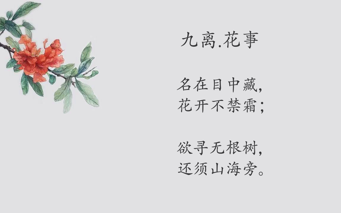 [图]九离.花事