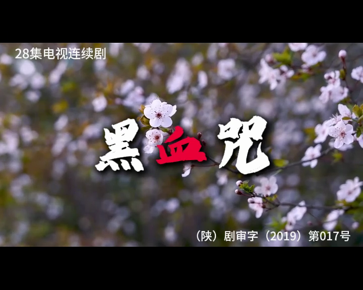 黑血咒 28集