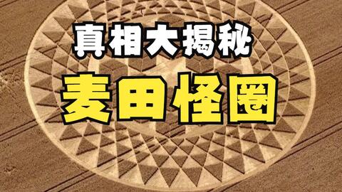 麦田怪圈究竟是怎么形成的 哔哩哔哩