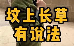 坟上长草 有说法