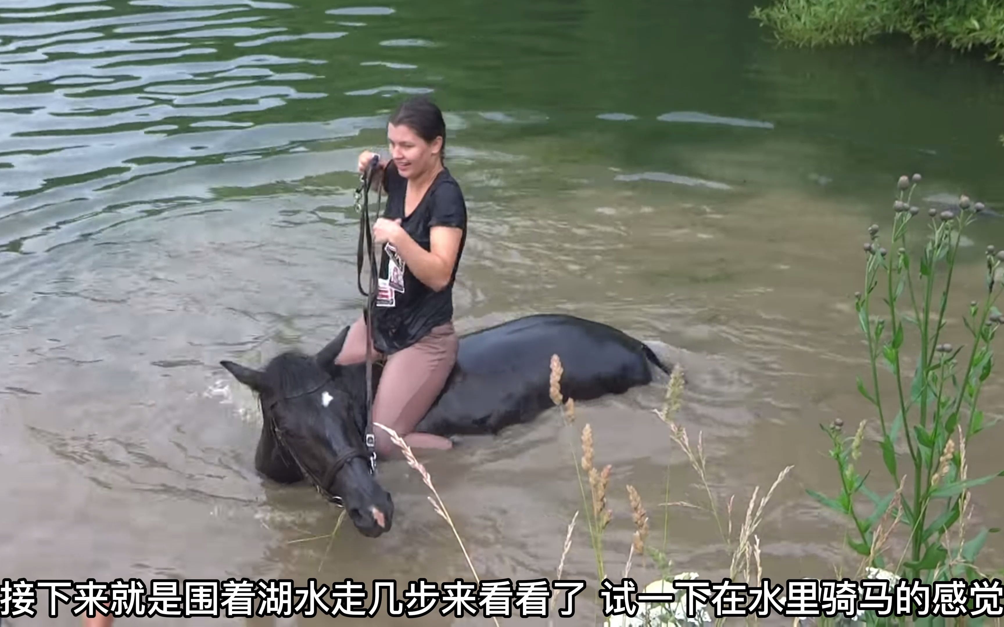 [图]马儿在湖水里洗澡，还有人骑到马背上，就不能好好洗个澡吗