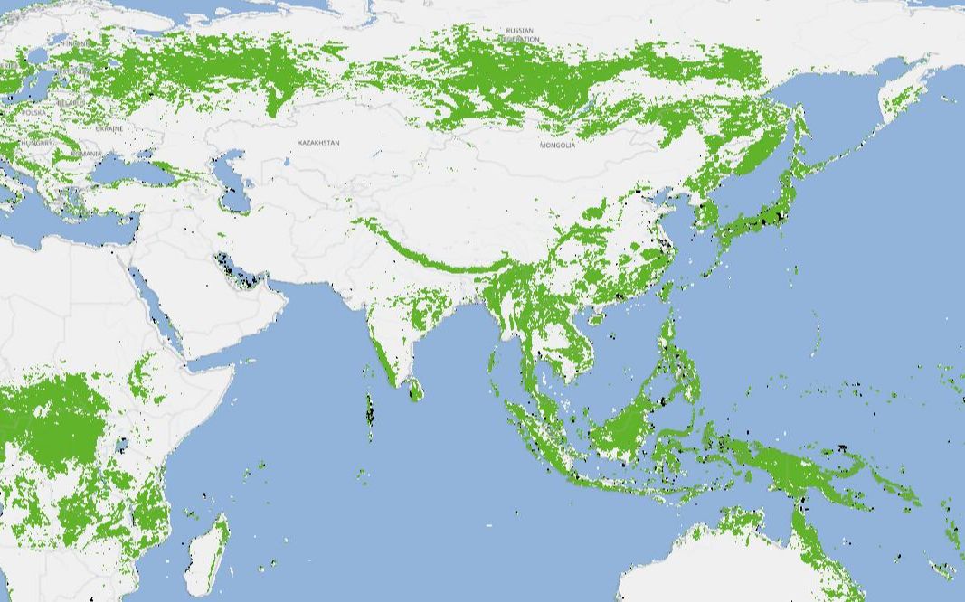 [图]卫星看森林！热带雨林砍伐增加20％，中国增加，印尼差不多满绿