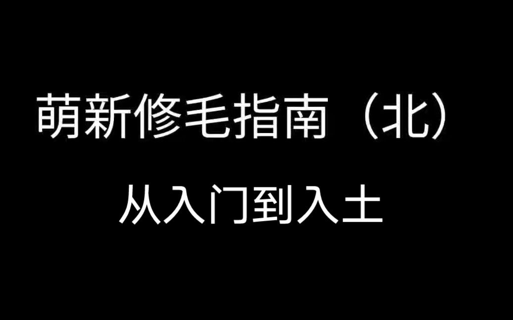 【萌新修毛/cos假毛】修毛从入门到入土——入门级指南①哔哩哔哩bilibili