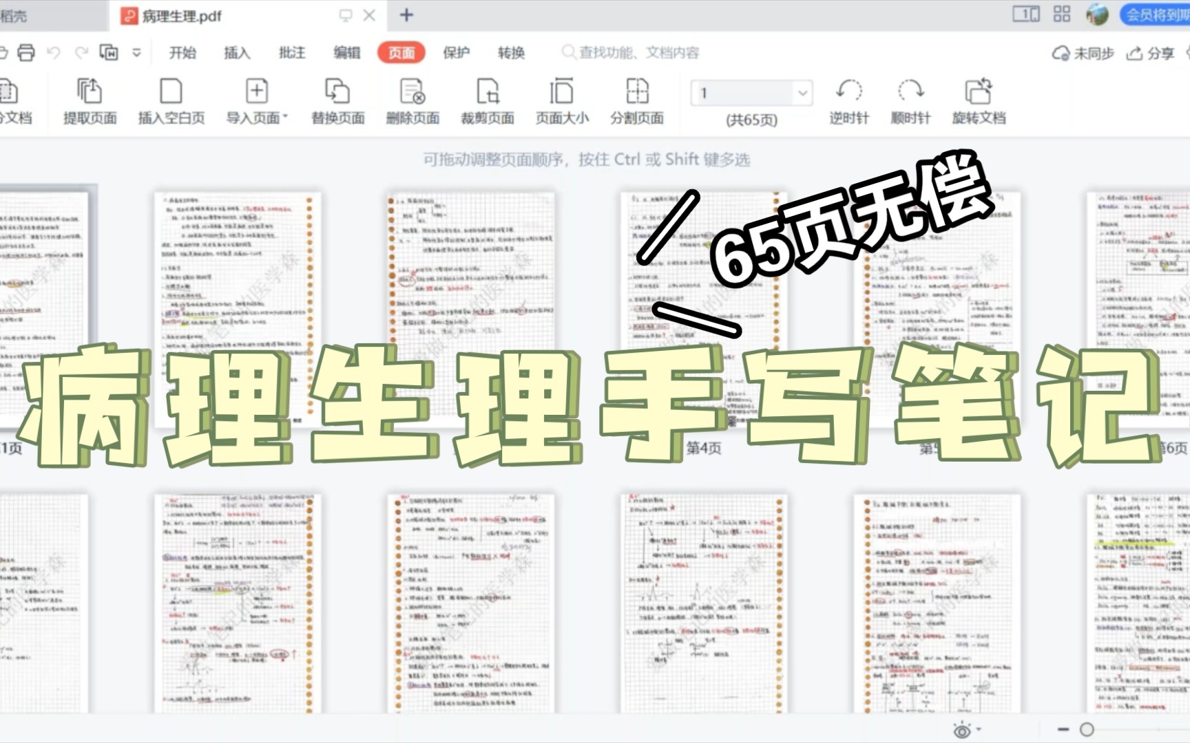 【病理生理学】65页手写笔记 【无偿】看的景晴老师病生(小部分)哔哩哔哩bilibili