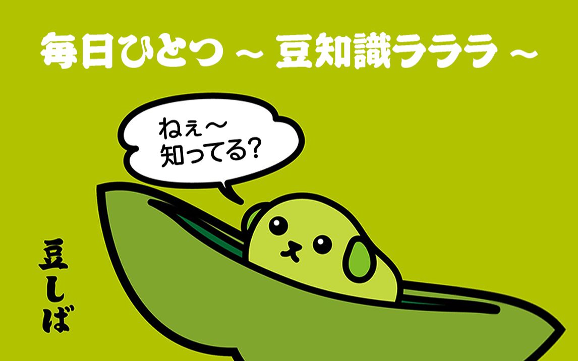 日本冷知识小剧场《豆しば|小柴豆》②,「胸罩」的日语发音是印尼语